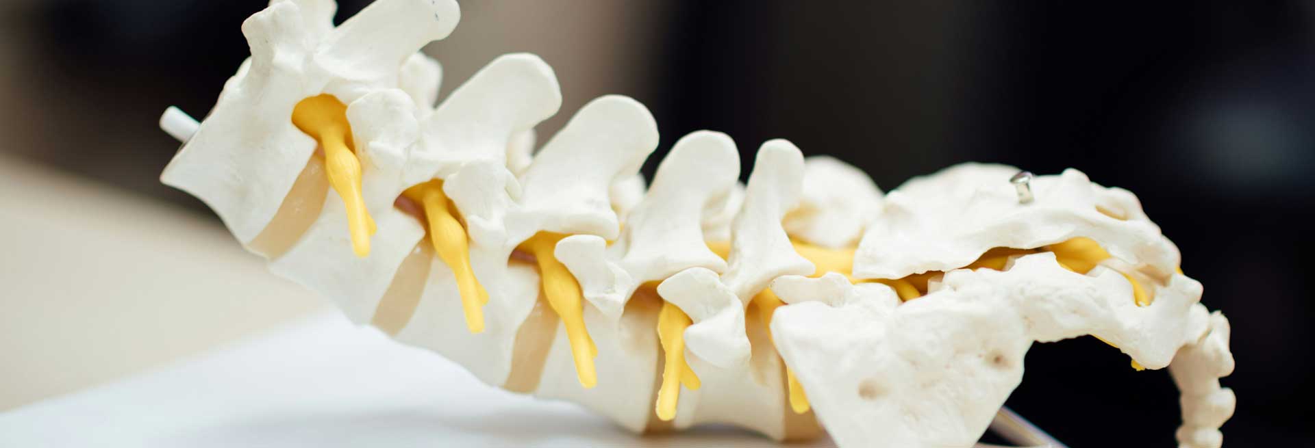 spine care pathways